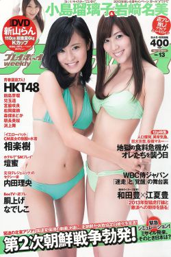 花环夫人泰剧全集