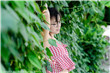 欧美1区