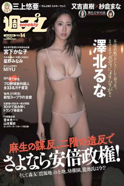 国产小青蛙
