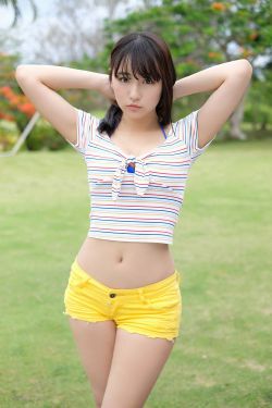 吕布大战服部半藏