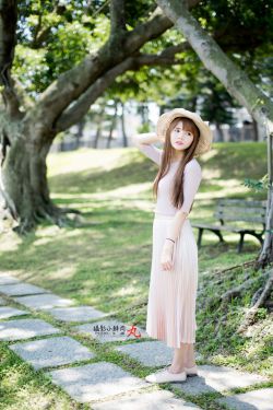 台湾版流星花园