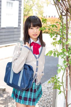 梅花儿香电视剧全集