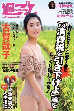 欢天喜地对亲家电视剧