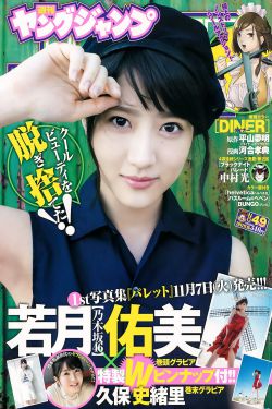 与狼共舞第二部电视剧演员表