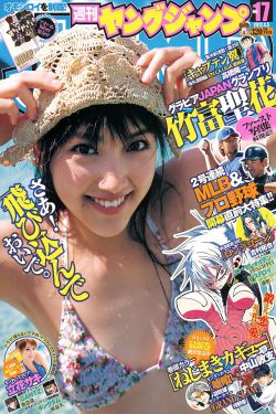 掩护电视剧全集