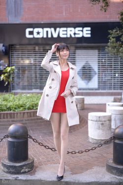 杨辰秦惜小说免费阅读最新完整版