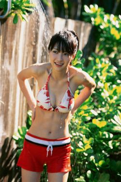 春花开