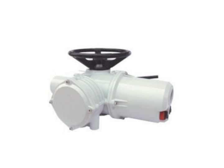 AIQ 多回轉智能電（diàn）動執行機構